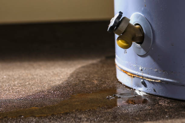 Best Basement water damage restoration  in Spring Hope, NC