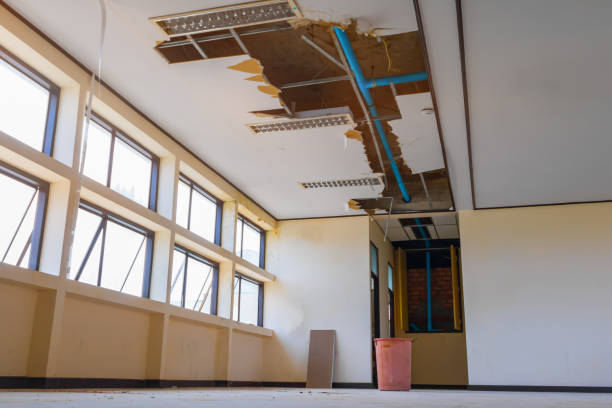 Best Ceiling water damage repair  in Spring Hope, NC