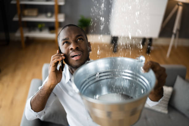 Best 24-hour water damage restoration  in Spring Hope, NC