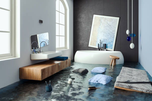 Best Water damage restoration specialists  in Spring Hope, NC