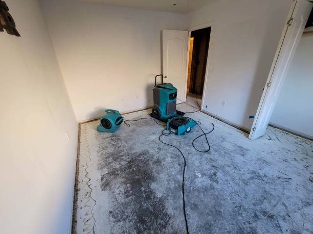 Best Mold removal after water damage  in Spring Hope, NC