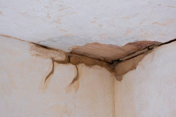 Best Commercial water damage restoration  in Spring Hope, NC