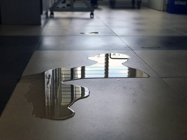Best Water damage restoration process  in Spring Hope, NC