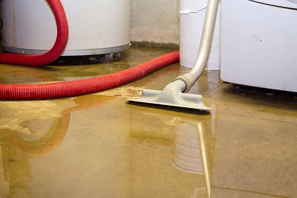 Best Commercial water damage restoration  in Spring Hope, NC