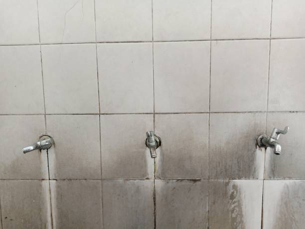 Best Emergency water damage restoration  in Spring Hope, NC