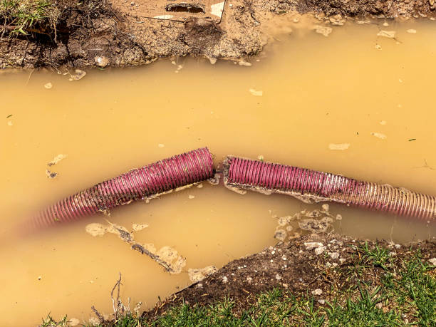 Best Local water damage restoration  in Spring Hope, NC